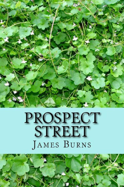 Prospect Street (The Poetry Of James Burns)