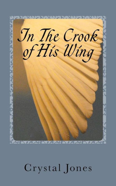 In The Crook Of His Wing: My Personal Encounters With Angels