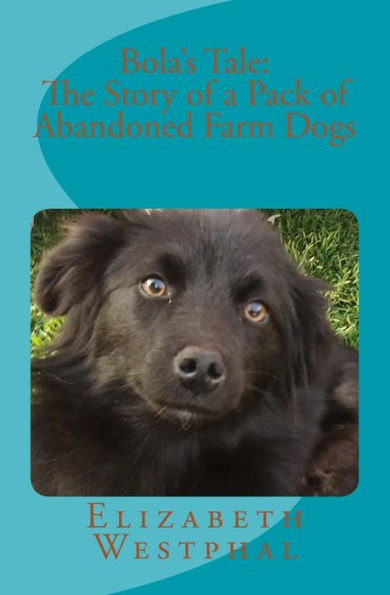Bola's Tale: The Story Of A Pack Of Abandoned Farm Dogs