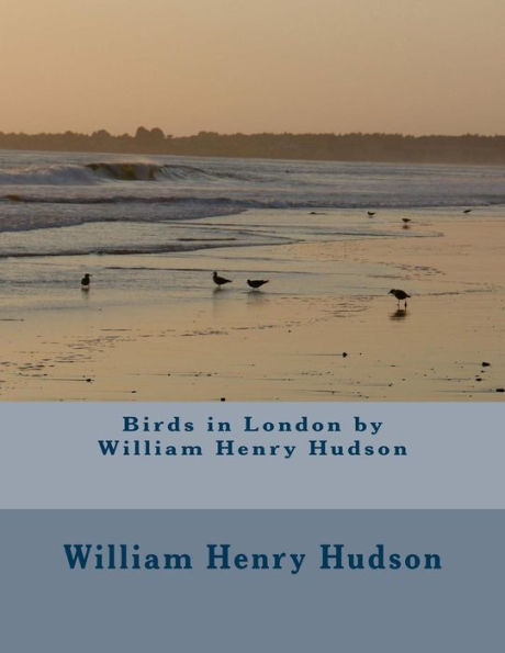 Birds In London By William Henry Hudson