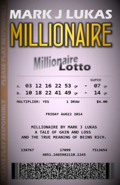 Millionaire: A Tale Of Gain And Loss And The Meaning Of Being Rich.