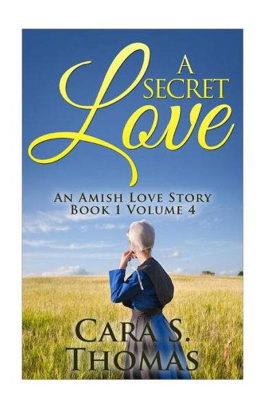 A Secret Love: An Amish Love Story (Book 1) (Love Matters)