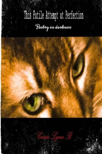 This Futile Attempt At Perfection: Poetry In Darkness