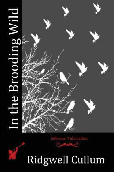 In The Brooding Wild - 9781523967438
