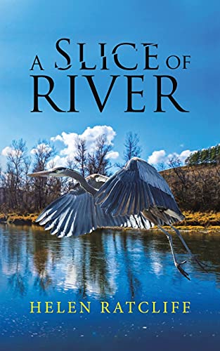 A Slice Of River