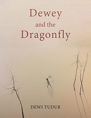 Dewey And The Dragonfly - 9781528994941