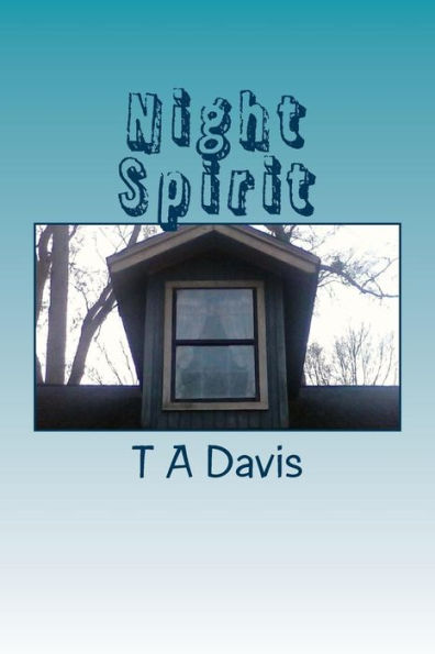 Night Spirit: Night Spirit:The Continuing Adventures Of Mae And Joey (The Adventures Of Mae And Joey)