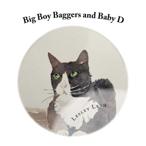 Big Boy Baggers And Baby D: The Story Of The Big Bold Tom Cat And The Baby Who Became Best Friends