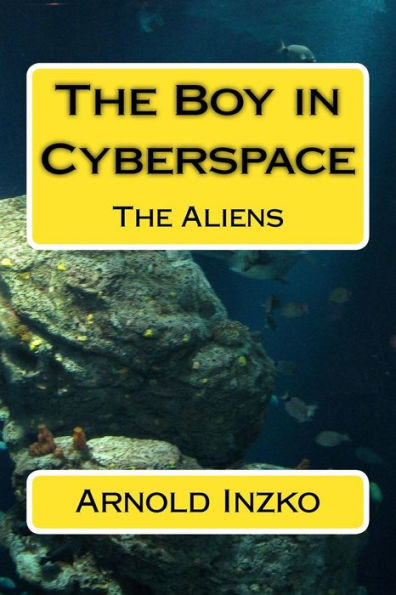 The Boy In Cyberspace: The Aliens