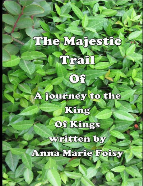 The Majestic Trail Of A Journey To The King Of Kings