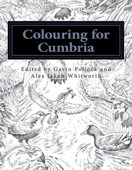 Colouring For Cumbria: Raising Money For People Affected By The Floods In Cumbria And Northern England.