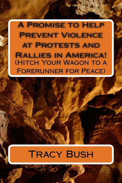 A Promise To Help Prevent Violence At Protests And Rallies In America!