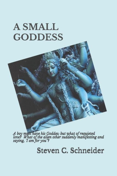 A Small Goddess: Poetry Of Dan Pritchard 1989-2059 (Sweet Charlotte)