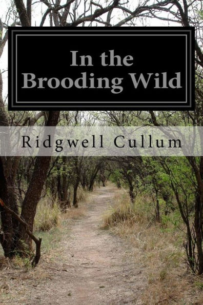 In The Brooding Wild - 9781532980541