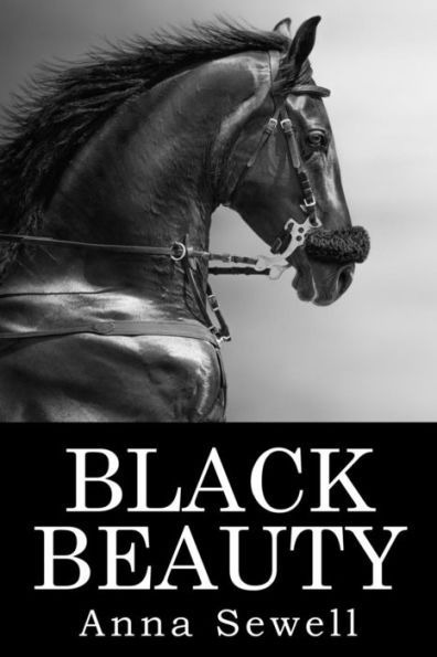 Black Beauty - 9781533134271