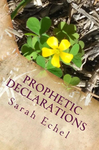 Prophetic Declarations: Heaven Released Through The Power Of Your Words
