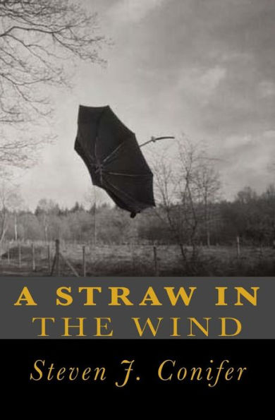 A Straw In The Wind - 9781533188076