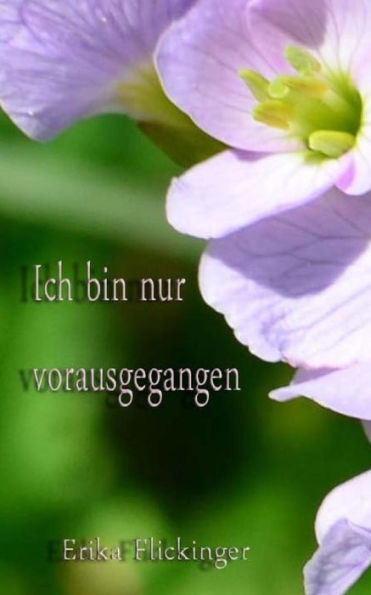 Ich Bin Nur Vorausgegangen (German Edition)
