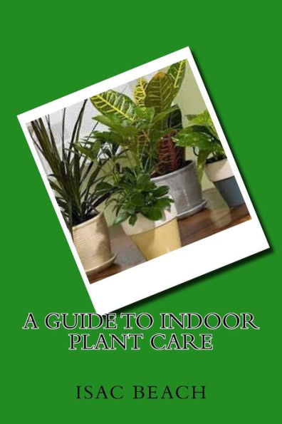 A Guide To Indoor Plant Care