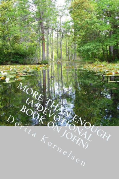 More Than Enough (A Devotional Book On John)