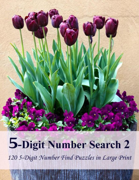 5-Digit Number Search 2: 120 5-Digit Number Find Puzzles In Large Print