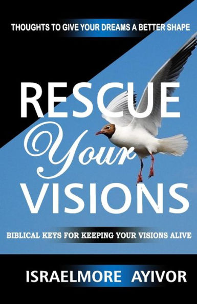 Rescue Your Visions: Biblical Keys For Keeping Your Visions Alive