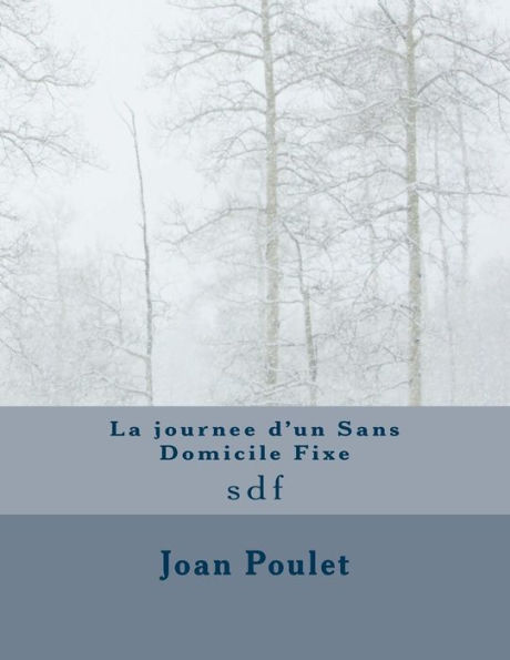 La Journee D'Un Sans Domicile Fixe: Sdf (French Edition)