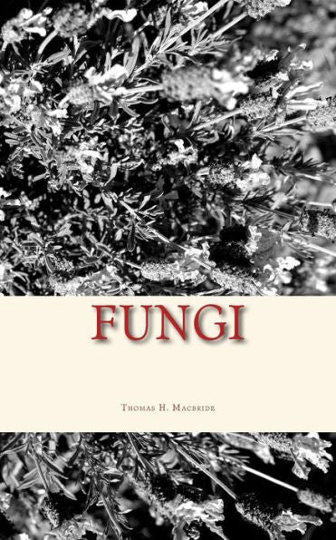 Fungi - 9781533683397