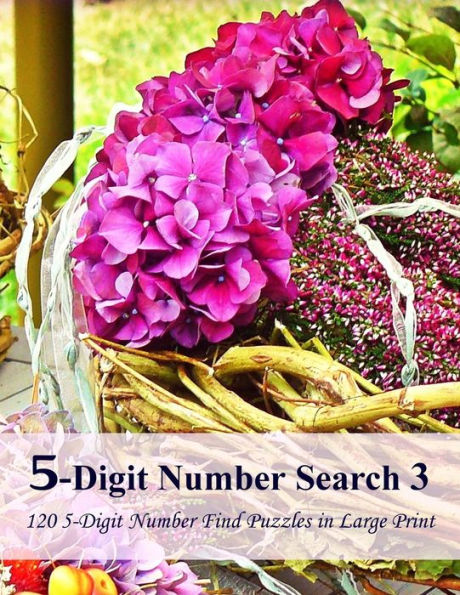 5-Digit Number Search 3: 120 5-Digit Number Find Puzzles In Large Print