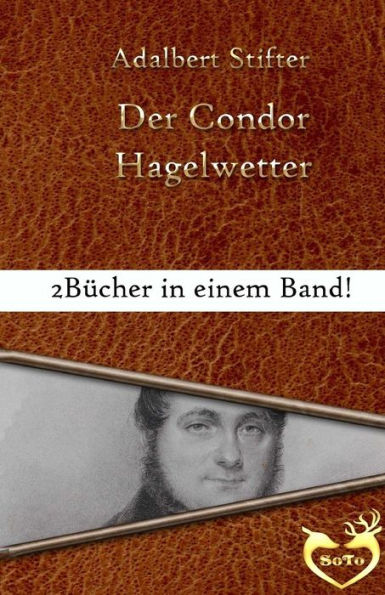 Der Condor: Bonusgeschichte: Hagelwetter (German Edition)