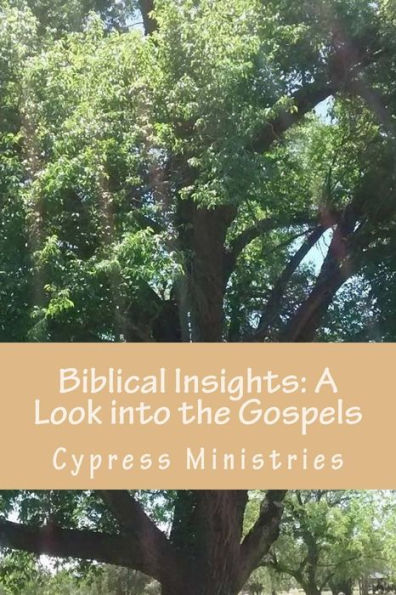 Biblical Insights: A Look Into The Gospels: Basic Study Notes For Better Understanding (Growing With God)