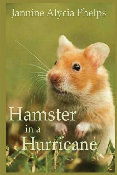 Hamster In A Hurricane