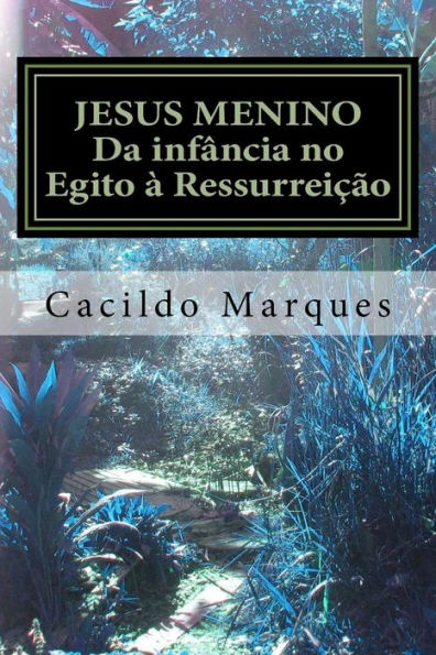 Jesus Menino: Da Inf?ncia No Egito ? Ressurrei??o (Portuguese Edition)