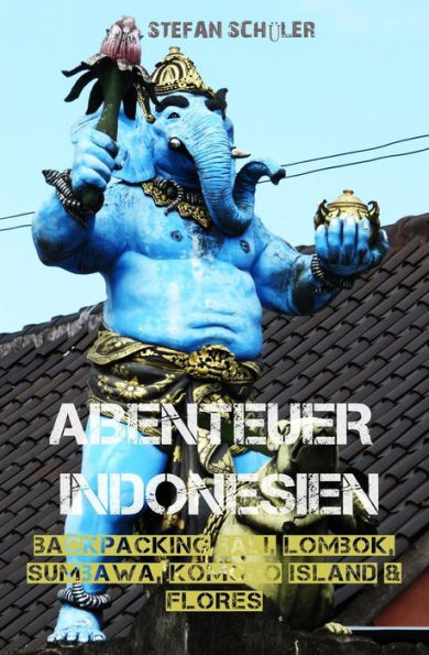 Abenteuer Indonesien: Backpacking Bali, Lombok, Sumbawa, Komodo Island & Flores (German Edition)