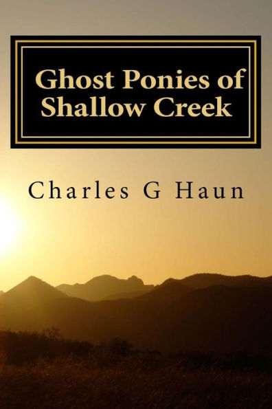 Ghost Ponies Of Shallow Creek: For Young Readers