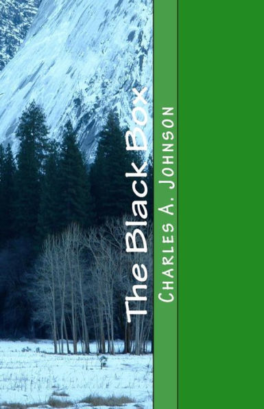The Black Box: The Silver Quest: Part 2 (Fellowship Of Light: Dragon Warriors)