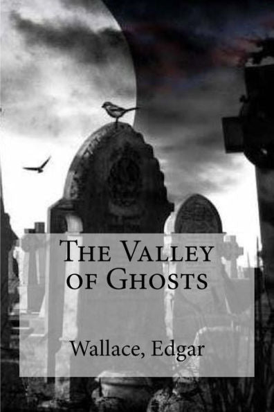 The Valley Of Ghosts - 9781535357708