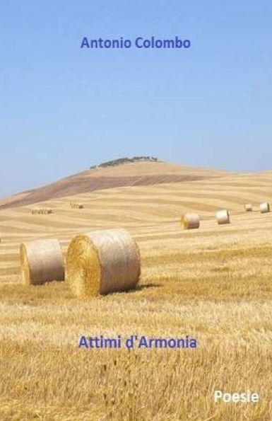 Attimi D'Armonia (Italian Edition)