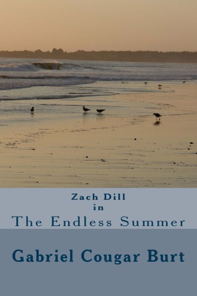 Zach Dill In The Endless Summer