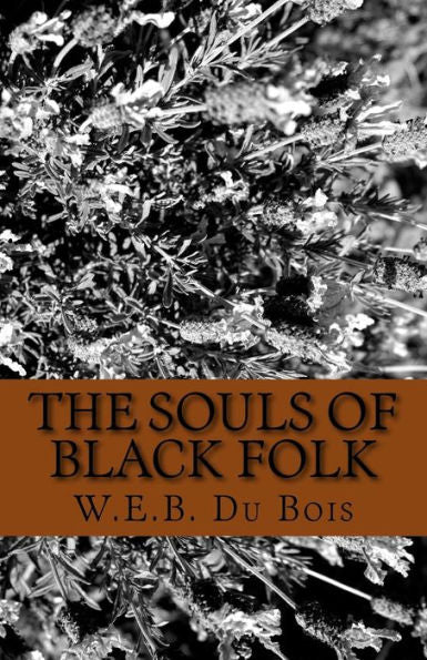 The Souls Of Black Folk - 9781537079271