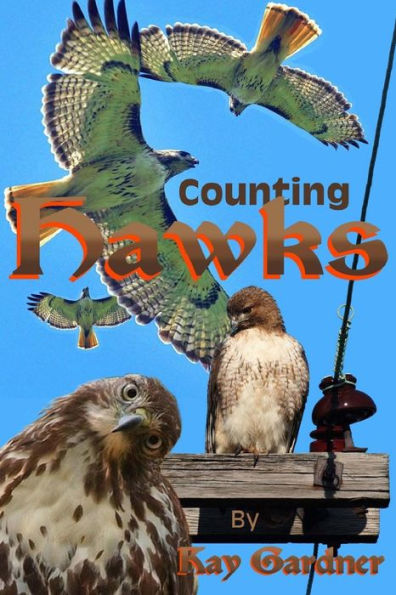 Counting Hawks