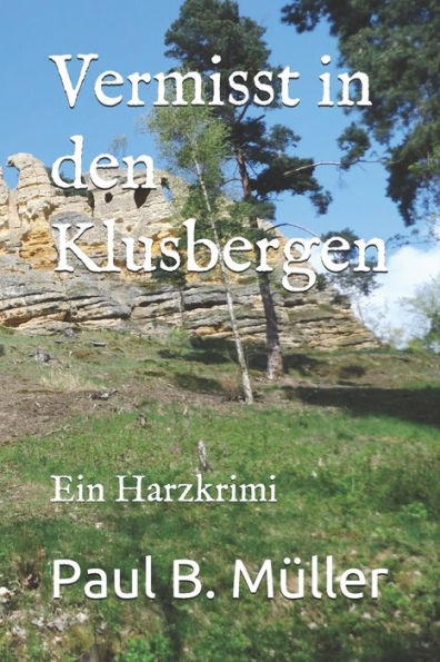 Vermisst In Den Klusbergen: Ein Harzkrimi (German Edition)