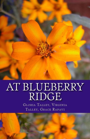 At Blueberry Ridge: Friendship Through Trials (Blueberry Ridge Series)