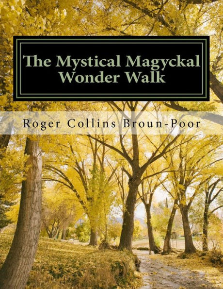 The Mystical Magyckal Wonder Walk: A Decca Dimensional Coloring Story Book