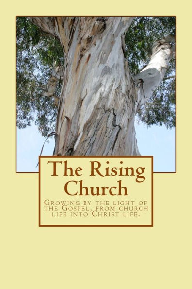 The Rising Church: Growing By The Light Of The Gospel, From Church Life Into Christ Life. (River City Church Publications)