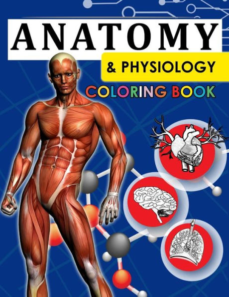 Anatomy & Physiology Coloring Book: 2Nd Edtion