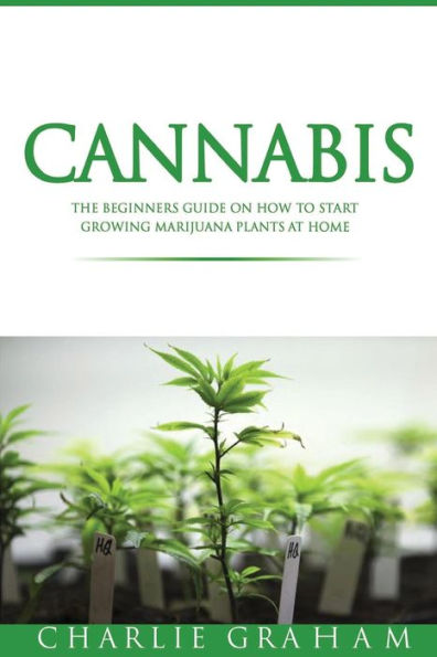 Cannabis: The Beginners Guide On How To Start Growing Marijuana Plants At Home