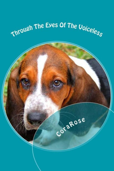 Through The Eyes Of The Voiceless: Tales Given Through The Unexpected Point Of Views