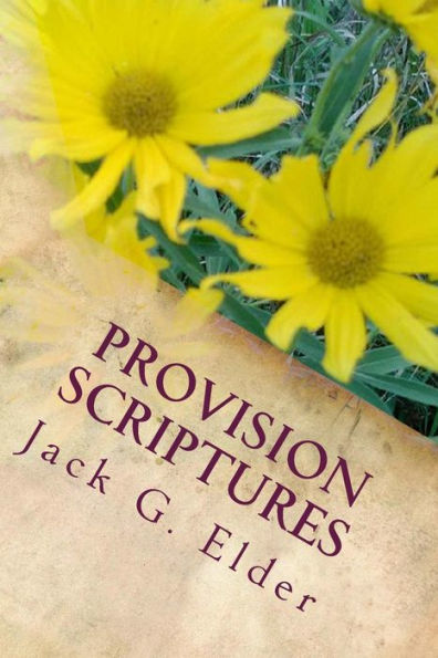 Provision Scriptures: Knowing The Riches Of Grace