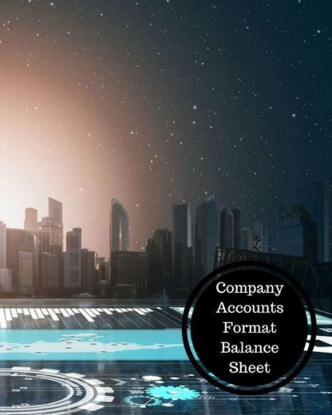 Company Accounts Format Balance Sheet: Balance Sheet Book